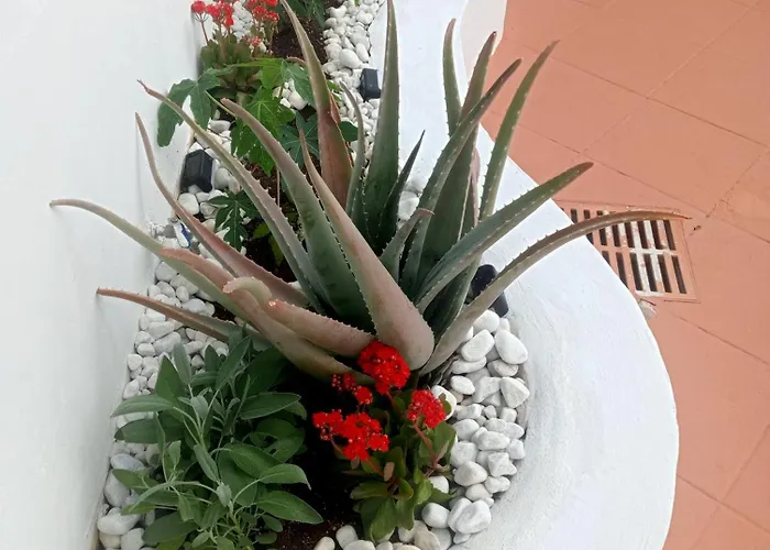 Casa Tina Piscina Privada Candelaria