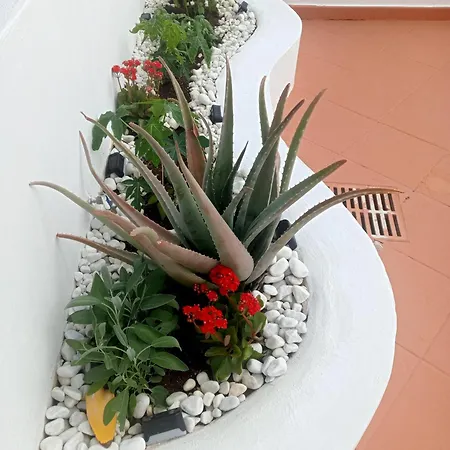 Casa Tina Piscina Privada 칸델라리아